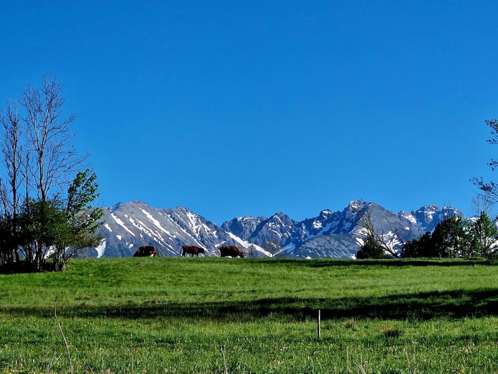 Zakopianski Zakatek Zakopane Eksteriør bilde